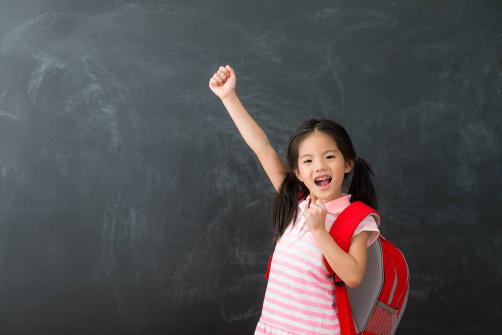 会计从业证成绩查询(会计从业证成绩查询入口官网)